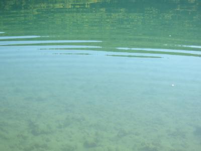 Прикрепленное изображение: IMG_0207.JPG